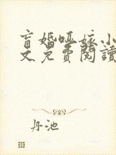 盲婚哑嫁小说全文免费阅读