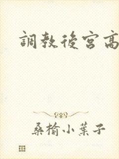 调教后宫高h文