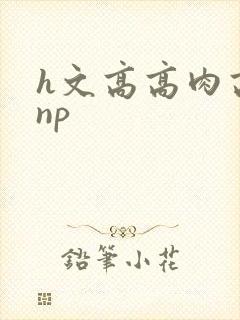 h文高高肉高辣np封面