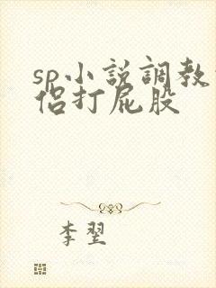 sp小说调教情侣打屁股封面