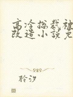 高冷总裁被催眠改造小说免费阅读