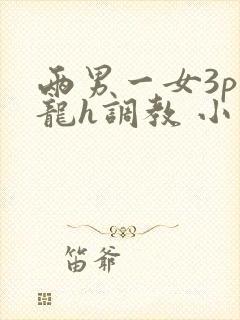 两男一女3p双龙h调教 小说