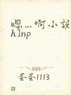 嗯…啊小说[高h]np封面