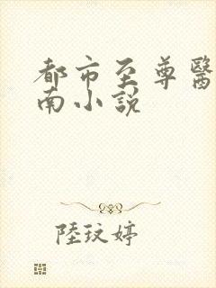 都市至尊医圣陈南小说封面