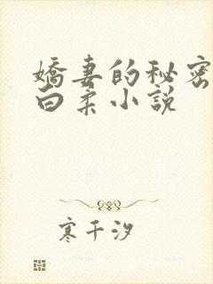 娇妻的秘密王平白柔小说封面