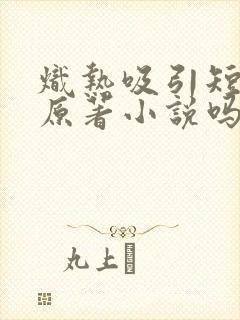 炽热吸引短剧有原著小说吗封面