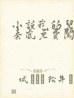 小说我的儿媳是秦岚免费阅读封面