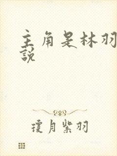 主角是林羽的小说封面