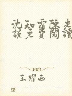 沈知霜陈光阳小说免费阅读