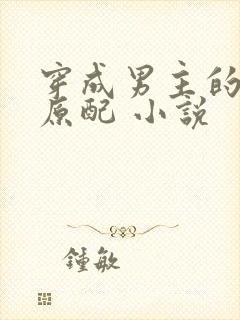 穿成男主的出轨原配 小说