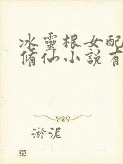 冰灵根女配逆袭修仙小说有封面