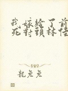 我嫁给了前世的死对头林佳瑶