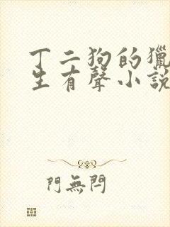 丁二狗的猎艳人生有声小说