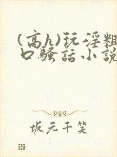 (高h)玩淫粗口骚话小说封面
