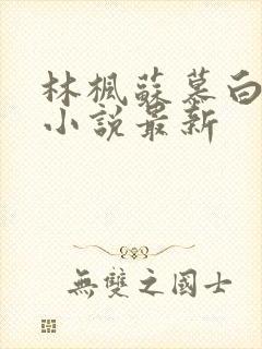 林枫苏慕白穿越小说最新