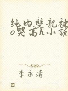 纯肉双龙被cao哭高h小说封面