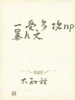 一受多攻np黄暴h文