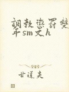 调教惩罚双性少年sm文h