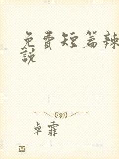 免费短篇辣文小说封面