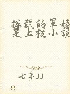 总裁的军婚老婆是上校小说