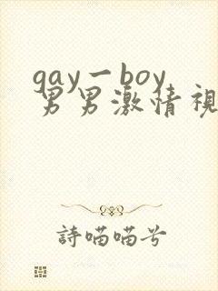 gay一boy男男激情视频