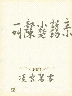 一部小说主人公叫陈楚的小说