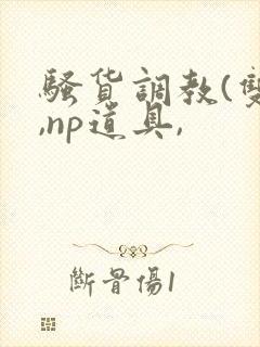 骚货调教(双性,np道具,