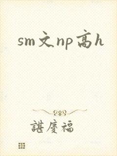 sm文np高h