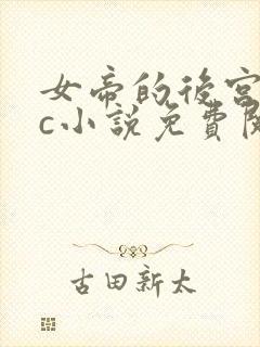 女帝的后宫npc小说免费阅读笔趣阁最