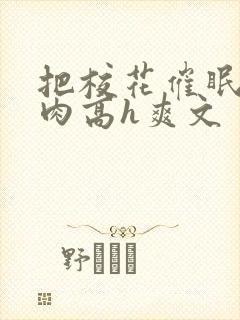 把校花催眠了纯肉高h爽文