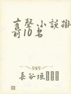 有声小说排行榜前10名封面