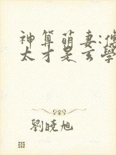 神算萌妻:傅太太才是玄学真大佬结局