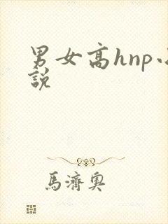 男女高hnp小说