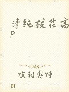 清纯校花高hnp封面