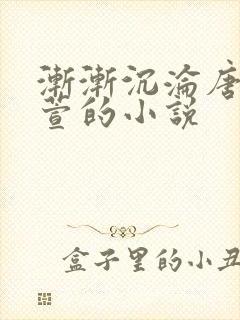 渐渐沉沦唐浪江萱的小说