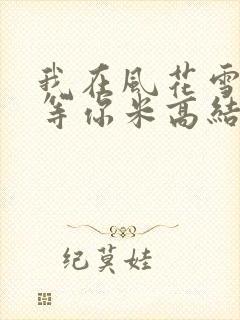 我在风花雪月里等你米高结局封面
