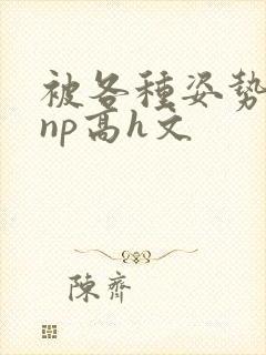 被各种姿势玩弄np高h文