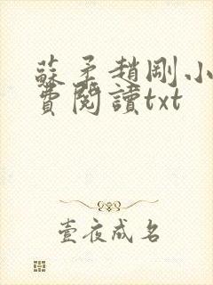 苏柔赵刚小说免费阅读txt