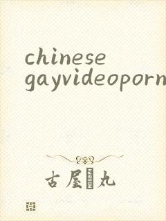 chinesegayvideoporn