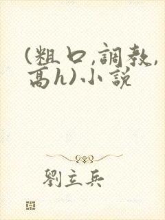 (粗口,调教,高h)小说封面