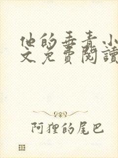 他的垂青小说全文免费阅读在线阅读封面