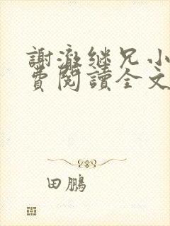 谢澈继兄小说免费阅读全文无弹窗