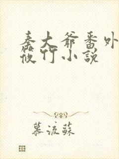 秦大爷番外篇付筱竹小说