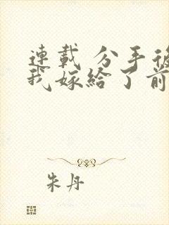 连载 分手后,我嫁给了前男友的小叔封面