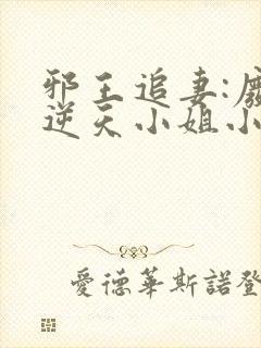 邪王追妻:废材逆天小姐小说