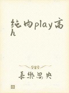纯肉play高h