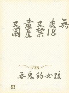 又黄又爽无遮挡国产禁18