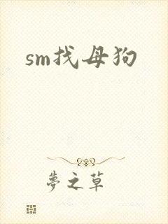 sm找母狗