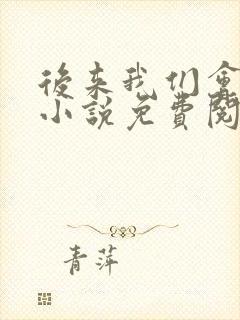 后来我们会怎样小说免费阅读封面