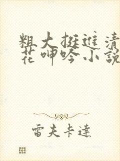 粗大挺进清纯校花呻吟小说封面